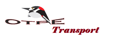 LOGO TRANSP