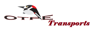 LOGO TRANSPORTS